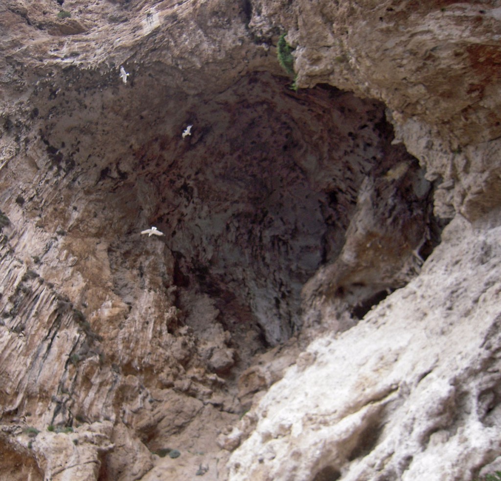 Capri: Grotta delle Felci - Grotto of Ferns 